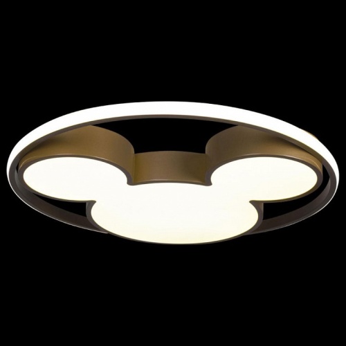 Накладной светильник Loft it Mike 10168 в Нижнем Новгороде фото 2