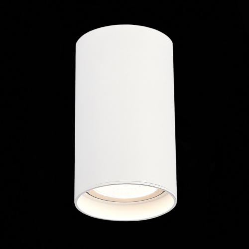 Накладной светильник ST-Luce ST157 ST157.532.20 в Нижнем Новгороде фото 2