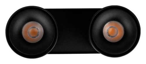 Спот Loft it Focus 10323/2A Black в Нижнем Новгороде фото 2