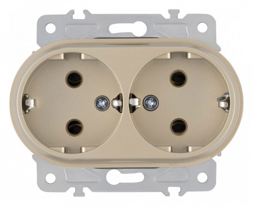 Розетка двойная с заземлением, без рамки Arte Milano am-202 202.40-2.shampan в Нижнем Новгороде