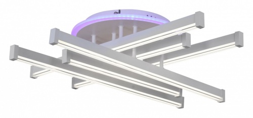 Потолочная люстра 01030-0.3-06 WT в Нижнем Новгороде