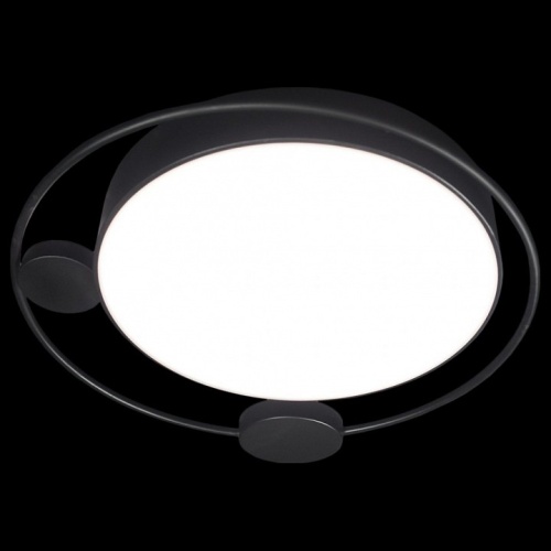 Накладной светильник Loft it Mike 10062 в Нижнем Новгороде фото 6