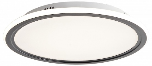 Накладной светильник Zortes Galo ZRS.10112.01 в Нижнем Новгороде