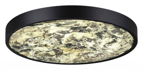 Накладной светильник Odeon Light Bergi 5064/40L в Нижнем Новгороде фото 10