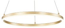 Подвесной светильник Escada Void 10254/1LED Gold APP в Дудинке