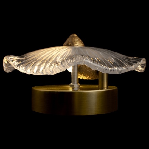 Накладной светильник Loft it Bloom 10352W/A AB в Нижнем Новгороде фото 5