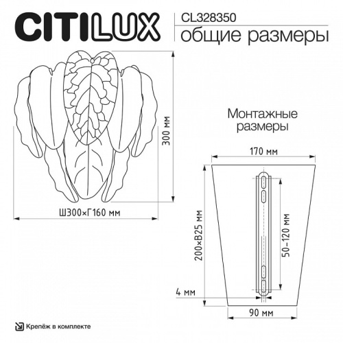 Накладной светильник Citilux HASIENDA CL328350 в Нижнем Новгороде фото 10