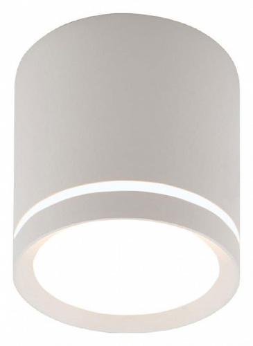 Накладной светильник Denkirs DK401 DK4013-WH в Нижнем Новгороде фото 6