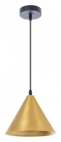 Подвесной светильник Arte Lamp David A7033SP-1BK в Владивостоке фото 3