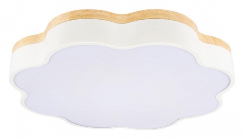 Накладной светильник Loft it Axel 10225/36 White в Нижнем Новгороде фото 2