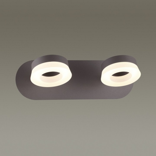 Спот Odeon Light Wengelina 3537/2WL в Нижнем Новгороде фото 2