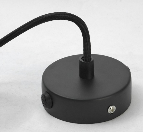 Подвесной светильник Lussole Centereach LSP-9888 в Нижнем Новгороде фото 2