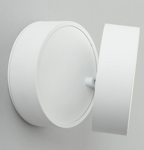 Спот Omnilux Lenno OML-101319-18 в Нижнем Новгороде фото 2