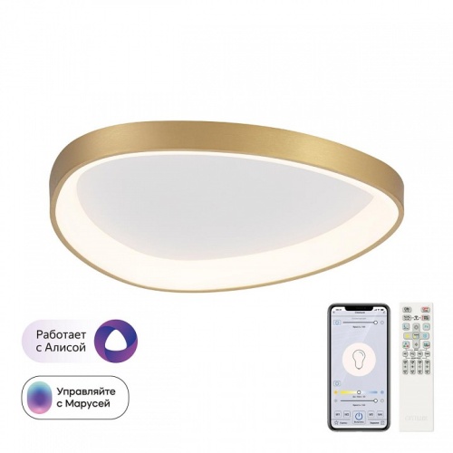 Накладной светильник Citilux GENKA SMART CL756A142 в Нижнем Новгороде фото 11