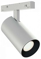 Светильник на штанге ST-Luce SKYLINE 48+ ST3365.546.15_SH_R в Нижнем Новгороде