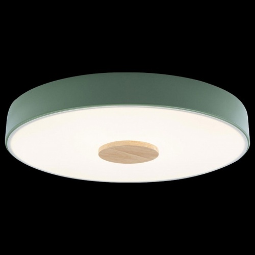 Накладной светильник Loft it Axel 2 10003/24 Green в Нижнем Новгороде фото 3