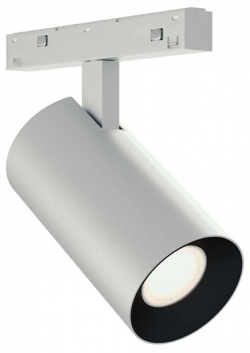 Светильник на штанге ST-Luce SKYLINE 48+ ST3365.546.15_SH_R в Нижнем Новгороде