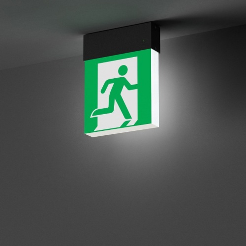 Светильник-указатель Arlight EMG-MARK 059801 в Нижнем Новгороде фото 5