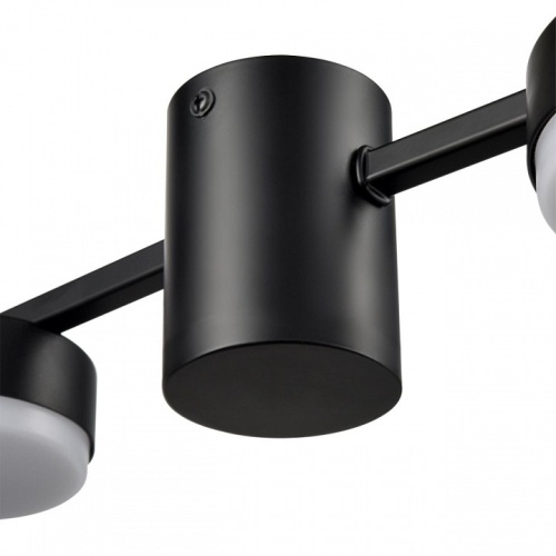 Накладной светильник Lumion Sanata 8187/4C в Нижнем Новгороде фото 2