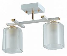 Светильник на штанге Rivoli Helga Б0050836 в Нижнем Новгороде