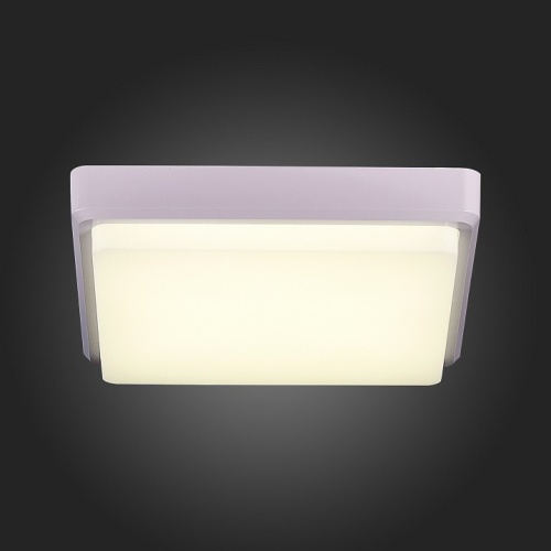 Накладной светильник EVOLUCE Taddio SLE200212-01 в Нижнем Новгороде фото 2