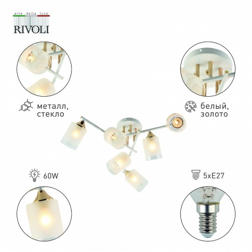 Люстра на штанге Rivoli Georgiana Б0055879 в Нижнем Новгороде фото 5