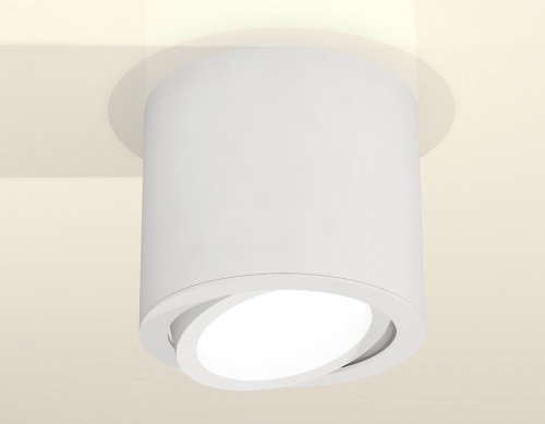 Накладной светильник Ambrella Light XS XS7401001 в Нижнем Новгороде фото 2