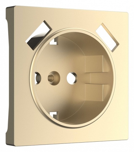 Накладка для розетки с заземлением и 2хUSB Werkel шампань W1179511 в Нижнем Новгороде