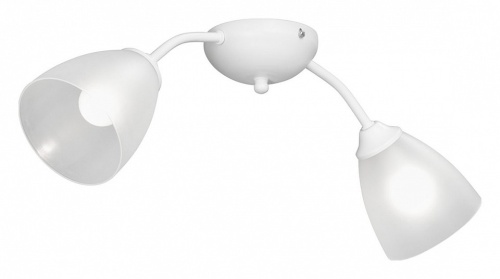 Накладной светильник Vitaluce V3184 V3737-0/2PL в Нижнем Новгороде