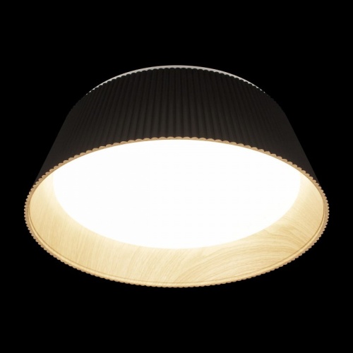 Накладной светильник Loft it Evans 10224 Black в Нижнем Новгороде фото 2