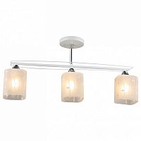 Светильник на штанге 01698 01698-0.3-03 в Нижнем Новгороде