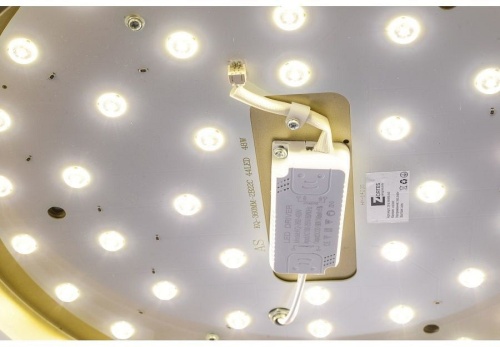 Накладной светильник Zortes Gabby ZRS.90610.40 в Нижнем Новгороде фото 2