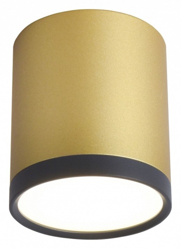 Накладной светильник Favourite Baral 3082-1C в Кропоткине фото 4
