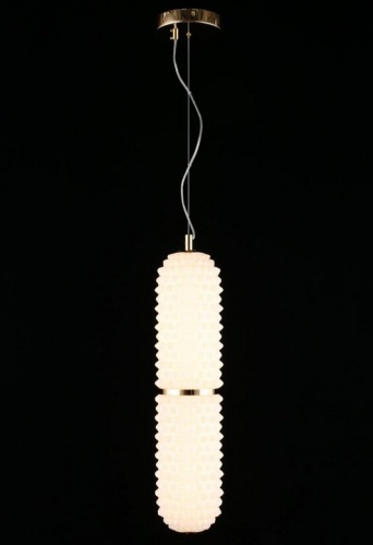 Подвесной светильник Aployt Ozeynn APL.332.06.22 в Слободском фото 9