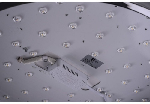 Накладной светильник Zortes Gimpel ZRS.1209.16 в Нижнем Новгороде фото 5