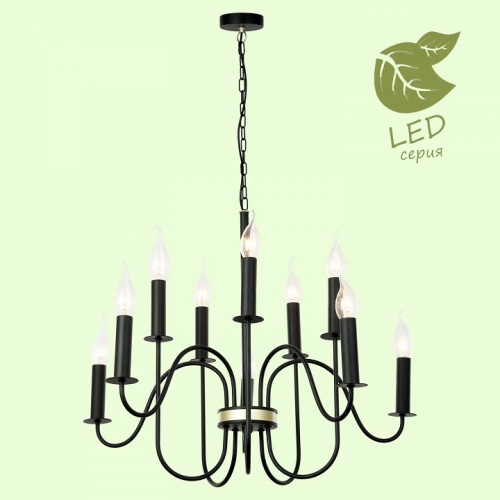 Подвесная люстра Lussole Roosevelt GRLSP-8198 в Нижнем Новгороде фото 6
