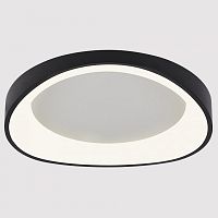 Накладной светильник Arte Lamp None A2698PL-60BK в Нижнем Новгороде