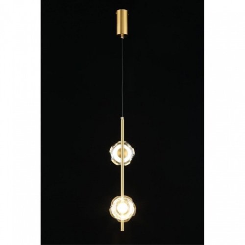 Подвесной светильник Aployt Tereze APL.074.06.02 в Нижнем Новгороде фото 7