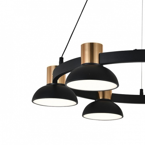 Подвесная люстра Indigo Traforo 11059/6P Black в Нижнем Новгороде фото 2