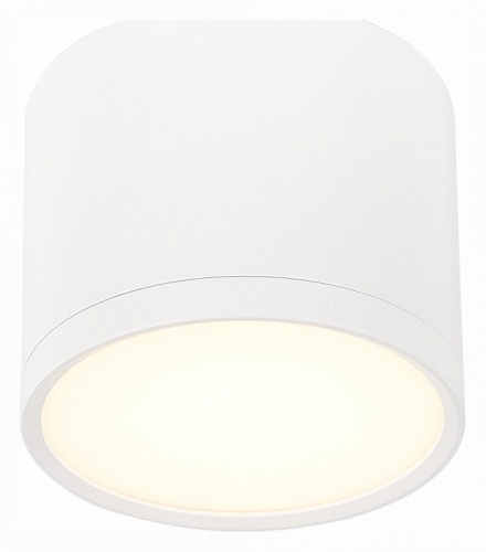 Накладной светильник ST-Luce Rene ST113.532.09 в Нижнем Новгороде фото 6