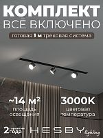 Комплект трековый Hesby Lighting Skylite №13 HSBL_kompl_S013_VI1B3K в Нижнем Новгороде