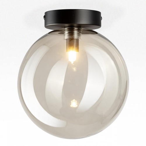 Накладной светильник Citilux ORTON CL202511 в Нижнем Новгороде фото 2