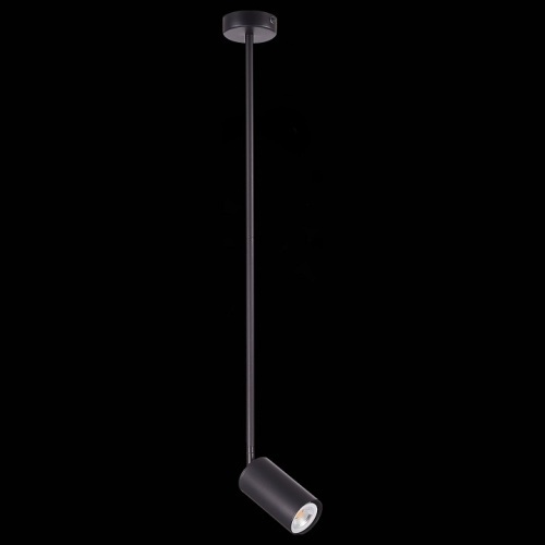 Светильник на штанге ST-Luce Sormano SL1206.403.01 в Нижнем Новгороде фото 4