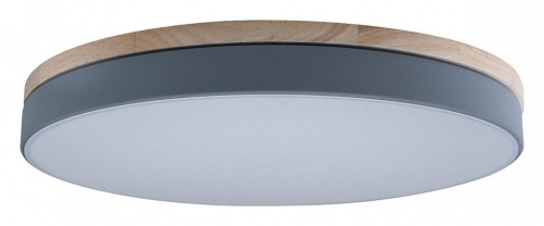 Накладной светильник Loft it Axel 10001/36 Grey в Сургуте