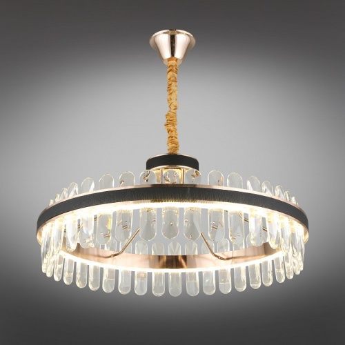 Подвесной светильник Aployt Honori APL.027.03.102 в Нижнем Новгороде фото 13