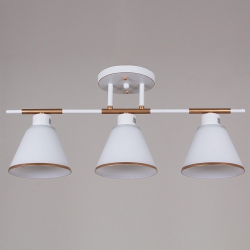 Люстра на штанге  07594-0.3-03 WG в Нижнем Новгороде фото 3