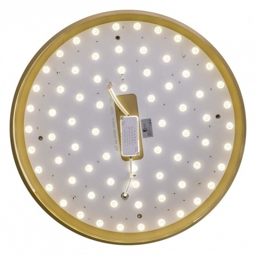 Накладной светильник Zortes Gabby ZRS.90610.50 в Нижнем Новгороде фото 8