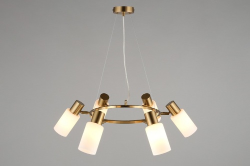 Подвесная люстра Omnilux Ales OML-69103-06 в Нижнем Новгороде фото 6