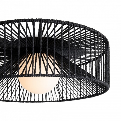 Накладной светильник Freya Cottage FR5405CL-01B в Нижнем Новгороде фото 4