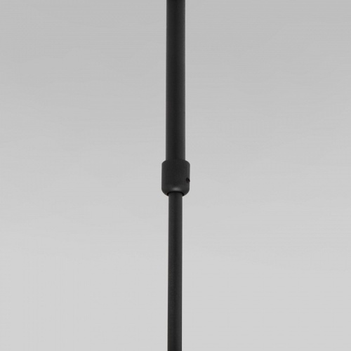 Светильник на штанге Eurosvet Pacific 50255/1 черный в Куйбышеве фото 5